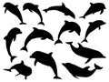 Set of dolphin fish silhouette vector art on a white background Royalty Free Stock Photo