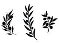 Set of olive branches silhouette vector art on white background