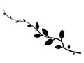 Wine branch silhouette vector art Royalty Free Stock Photo