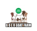 BOER GOAT FARM BUSINESS BANNER