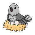 Cute northern mockingbird cartoon with eggs in the nest