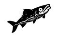River Haddock fish. Fish Haddock Hand drawn vector illustration , River Haddock FIsh silhouette