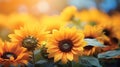 Sunflower among other spring summer flowers at sunshine, Nature vintage background.GenerativeAI. Royalty Free Stock Photo