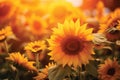 Sunflower among other spring summer flowers at sunshine, Nature vintage background.GenerativeAI. Royalty Free Stock Photo