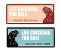 CHICKEN SELLER BANNER FOR BEST FARM