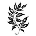 Black silhouettes of hand drawn plant leaves on white background.minimalistic flower petals,black and white Royalty Free Stock Photo