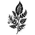 Black silhouettes of hand drawn plant leaves on white background.minimalistic flower petals,black and white Royalty Free Stock Photo