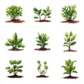 Seedling icon isolated on white background. Vector illustrations.