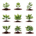 Seedling icon isolated on white background. Vector illustrations.