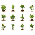 Seedling icon isolated on white background. Vector illustrations.