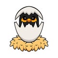 Cute Myna Bird Cartoon Inside From Egg