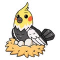 Cute grey cockatiel bird cartoon with eggs in the nest Royalty Free Stock Photo