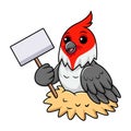 Cute red crested cardinal bird cartoon holding blank sign Royalty Free Stock Photo