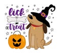 Lick or treat - funny slogan with cute dog in witch hat, and bone and spider