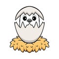 Cute whiteface cockatiel bird cartoon inside from egg