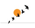 Flying birds silhouette on sunset and bir on wire, vector Royalty Free Stock Photo
