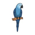 spix macaw bird isolated icon vector illustration Royalty Free Stock Photo