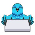 Cute spangled cotinga bird cartoon holding blank sign