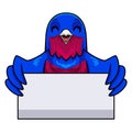 Cute banded cotinga bird cartoon holding blank sign Royalty Free Stock Photo