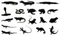 Set of reptile vector silhouettes Royalty Free Stock Photo