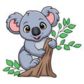 Cute little koala cartoon on a tree branch Royalty Free Stock Photo