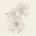 Bouquet with sunflowers gerbera in line art style. For wedding, birthday, anniversary. Royalty Free Stock Photo