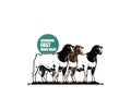 GREAT DORPER SHEEPS STANDING AT FARM LOGO Royalty Free Stock Photo