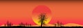 Amazing sunset and sunrise.Panorama silhouette tree in africa with sunset..Dark tree on open field dramatic sunrise.Safari. Royalty Free Stock Photo