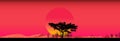 Amazing sunset and sunrise.Panorama silhouette tree in africa with sunset.Tree silhouetted against a setting sun.Safari.