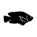 black silhouette fish isolated on white background. the shadow of a fish. shadow icon. Guess the name of the animal.