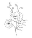 Poppy Line Art. Poppy outline Illustration. August Birth Month Flower. Poppy outline isolated on white.