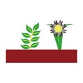 leafs plant ecology icon vector illustration design graphic flat and simple style. Flower and leafs