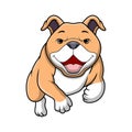 Cute pitbull cartoon on white background