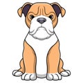 Cute pitbull cartoon on white background