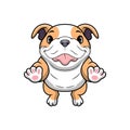 Cute pitbull cartoon on white background