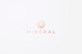 Water Drop Mineral Logo Gold Premium Concept Pure Organic