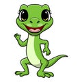 Cute green lizard cartoon on white background Royalty Free Stock Photo