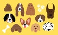 Various dog breeds drawing in crayon such as Doberman, Corgi, Golden Retriever, Dachshund, Cocker Spaniel, Basset, Beagle