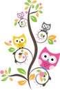 colorful group owl cute in vector Royalty Free Stock Photo