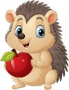 Cartoon little hedgehog holding red apple Royalty Free Stock Photo