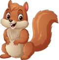 Cartoon happy squirrel on white background