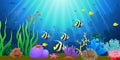 Corals with underwater view background