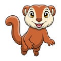 Cute weasel cartoon on white background