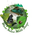 logo design vector and illustration for conservationists. lizard, butterflies and ladybug Royalty Free Stock Photo