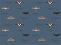 Various Bat Species Front Flying Cartoon Seamless Wallpaper Background