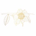 Line golden illustration of a beautiful camelia flower with leaves.