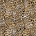 Jaguar or leopard pattern, seamless texture. Cheetah animal print for textile design. Vector Royalty Free Stock Photo