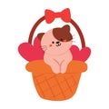 hand drawing cartoon cat inside basket Royalty Free Stock Photo