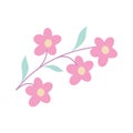 cute flower with branches and leaves isolated icon vector illustration design. The flower design Royalty Free Stock Photo