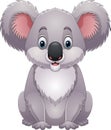 Cartoon funny little koala sitting